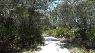 Next segment of sidewalk, sunny